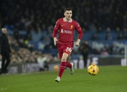 米兰百家乐-利物浦客场逼平狼队，豪门实力再次显现的简单介绍