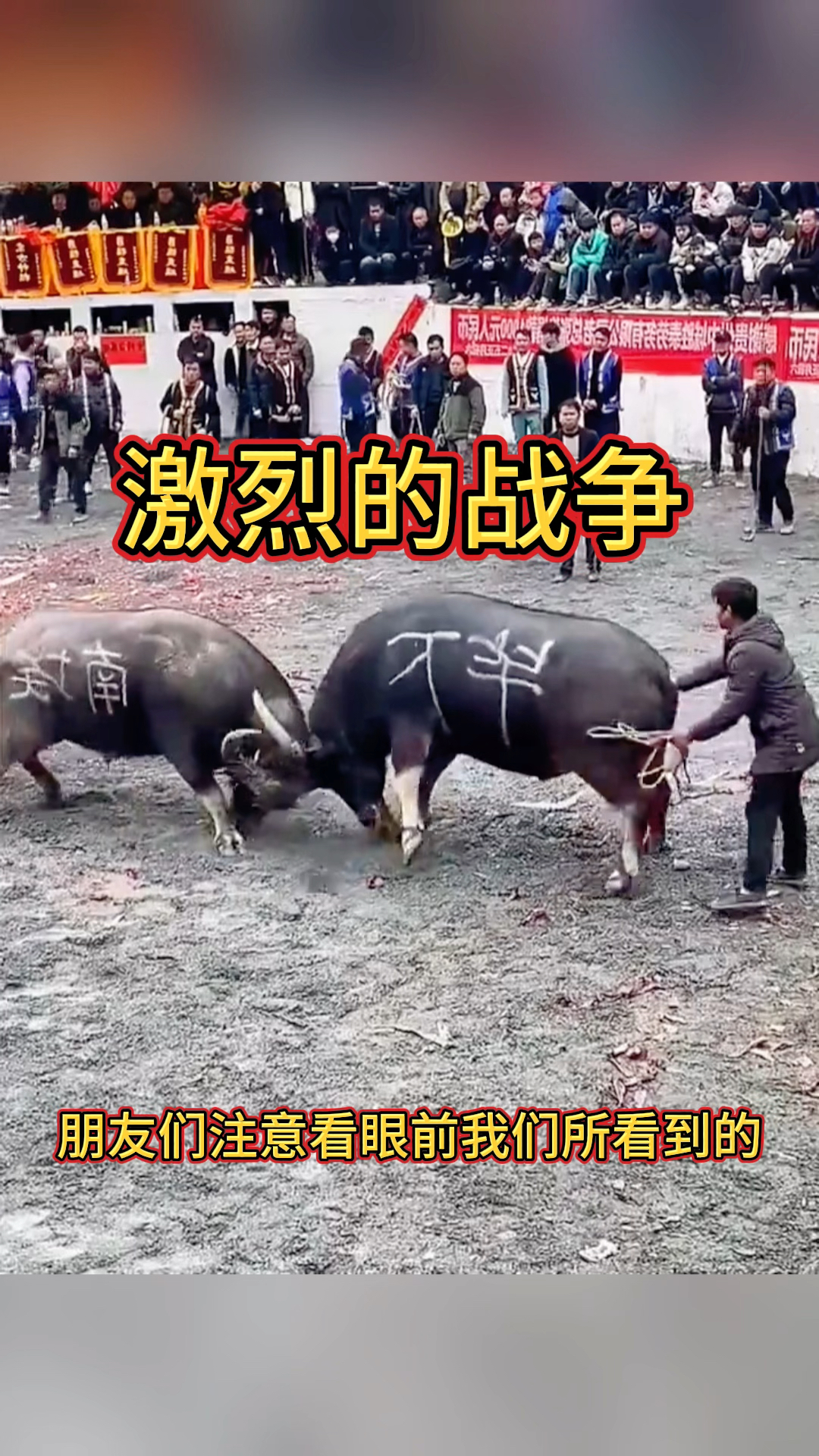 公牛不敌老鹰，遭遇连败