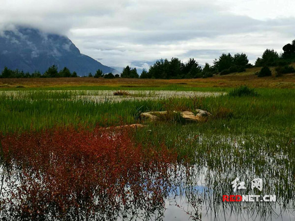 尼泊尔多夫队员奋起对抗,迎接未来挑战 尼泊尔多夫队员奋起对抗,迎接未来挑战